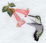 Ruby Throated Hummingbird (Female) & Trumpet Vine