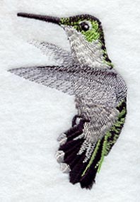 Ruby Throated Hummingbird (Female)