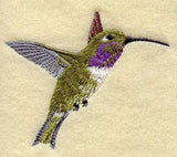 Lucifer Hummingbird