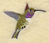 Lucifer Hummingbird