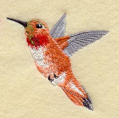 Rufous Hummingbird