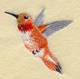 Rufous Hummingbird