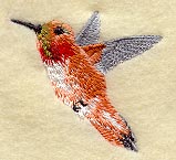 Rufous Hummingbird