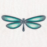 Nature Wave - Dragonfly