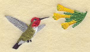 Anna's Hummingbird & Tree Tobacco Flower