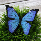 Free-Flying Giant Blue Morpho (In-the-Hoop)