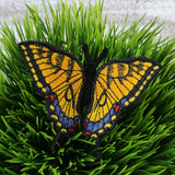 Free-Flying Eastern Tiger Swallowtail (In-the-Hoop)