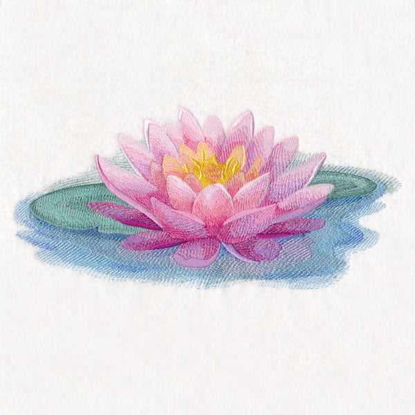 Soft and Serene Water Lily