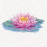 Soft and Serene Water Lily