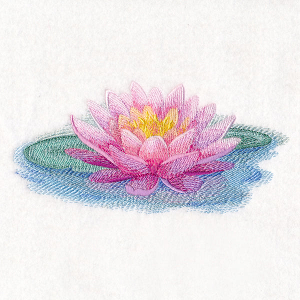 Soft and Serene Water Lily