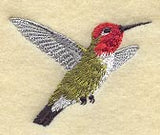 Anna's Hummingbird