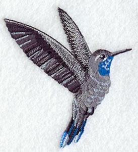 Blue Throated Hummingbird