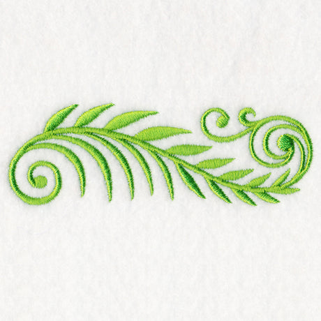 Elegant Fern Border