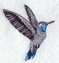 Blue Throated Hummingbird