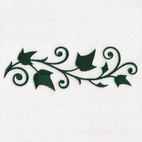 Elegant Ivy Border