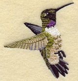 Black Chinned Hummingbird