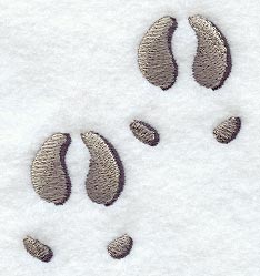 Caribou Tracks