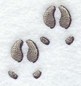 Caribou Tracks