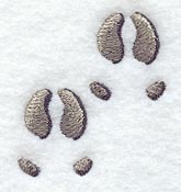 Caribou Tracks