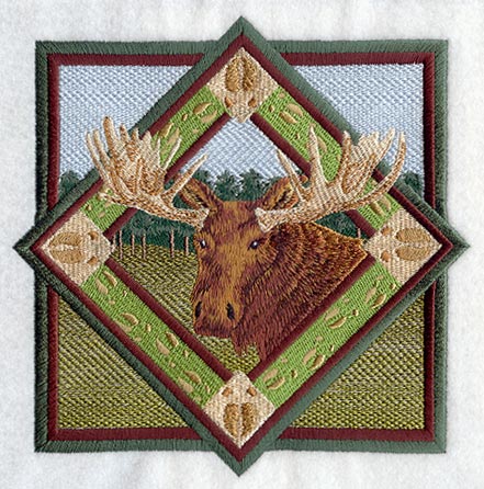 Moose Track Portrait