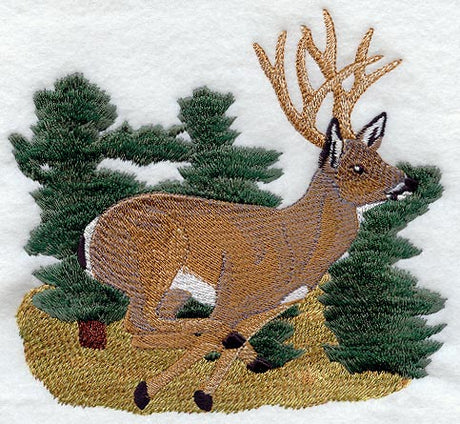 Running Mule Deer