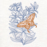 Garden Lily Butterfly Etching