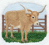 Longhorn Steer Scene