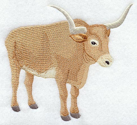 Longhorn Steer