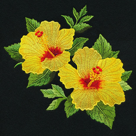 Hawaiian Hibiscus