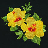 Hawaiian Hibiscus