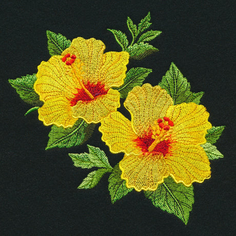 Hawaiian Hibiscus