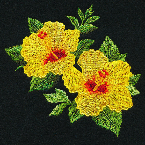 Hawaiian Hibiscus