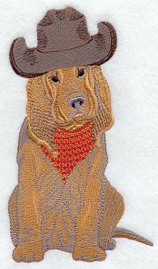 Bloodhound in Cowboy Hat