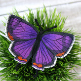 Free-Flying Colorado Hairstreak (In-the-Hoop)