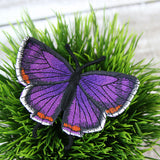 Free-Flying Colorado Hairstreak (In-the-Hoop)