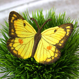 Free-Flying Orange Sulfur (In-the-Hoop)