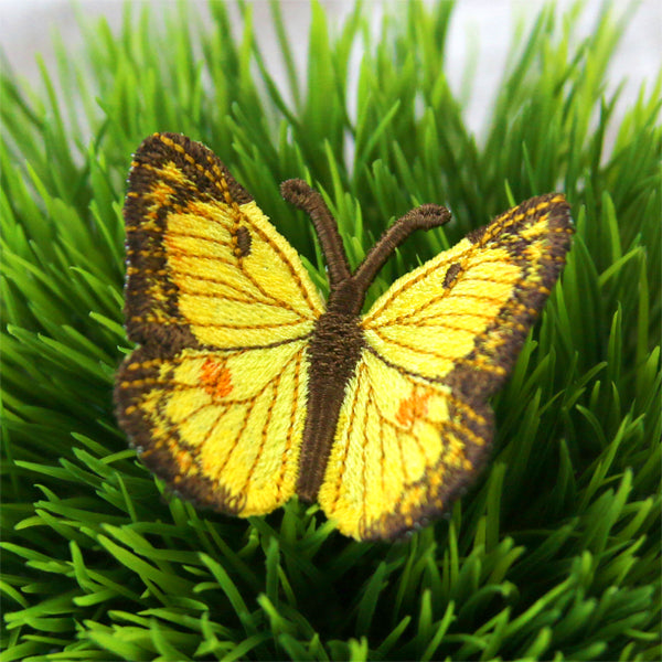 Free-Flying Orange Sulfur (In-the-Hoop)