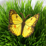 Free-Flying Orange Sulfur (In-the-Hoop)