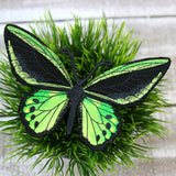 Free-Flying Common Green Birdwing (In-the-Hoop)