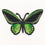 Free-Flying Common Green Birdwing (In-the-Hoop)