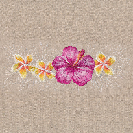 Heavenly Hibiscus Border