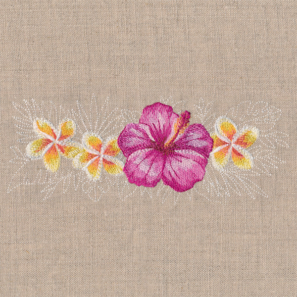 Heavenly Hibiscus Border