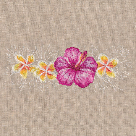 Heavenly Hibiscus Border