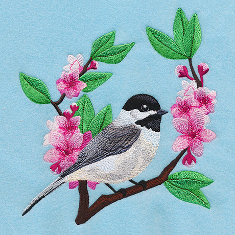 Chickadee and Cherry Blossoms