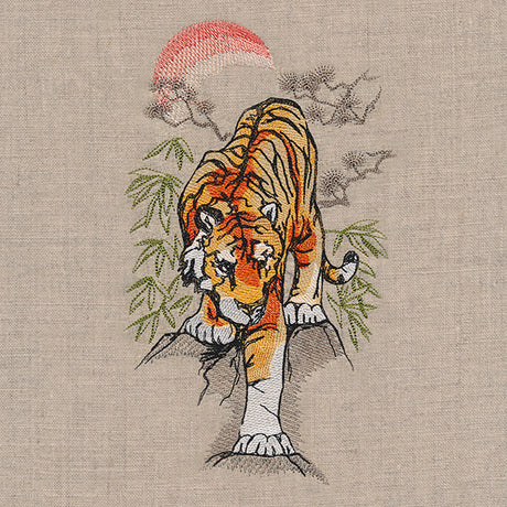 Year of the Tiger