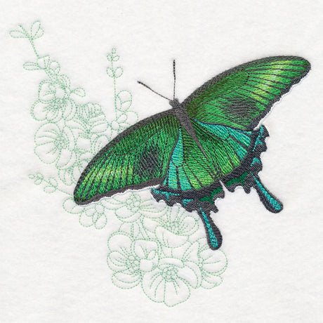 Butterfly with Cherry Blossoms Echo