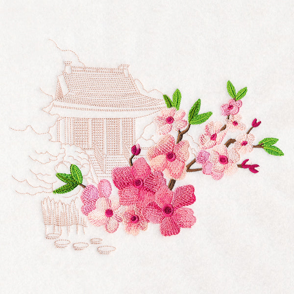 Cherry Blossoms with Temple Echo