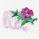 Iris with Japanese Garden Echo