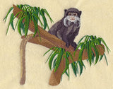 Emperor Tamarin