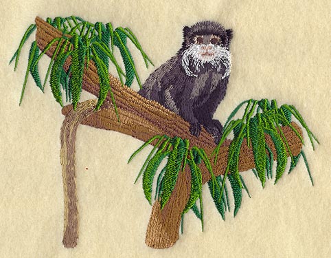 Emperor Tamarin